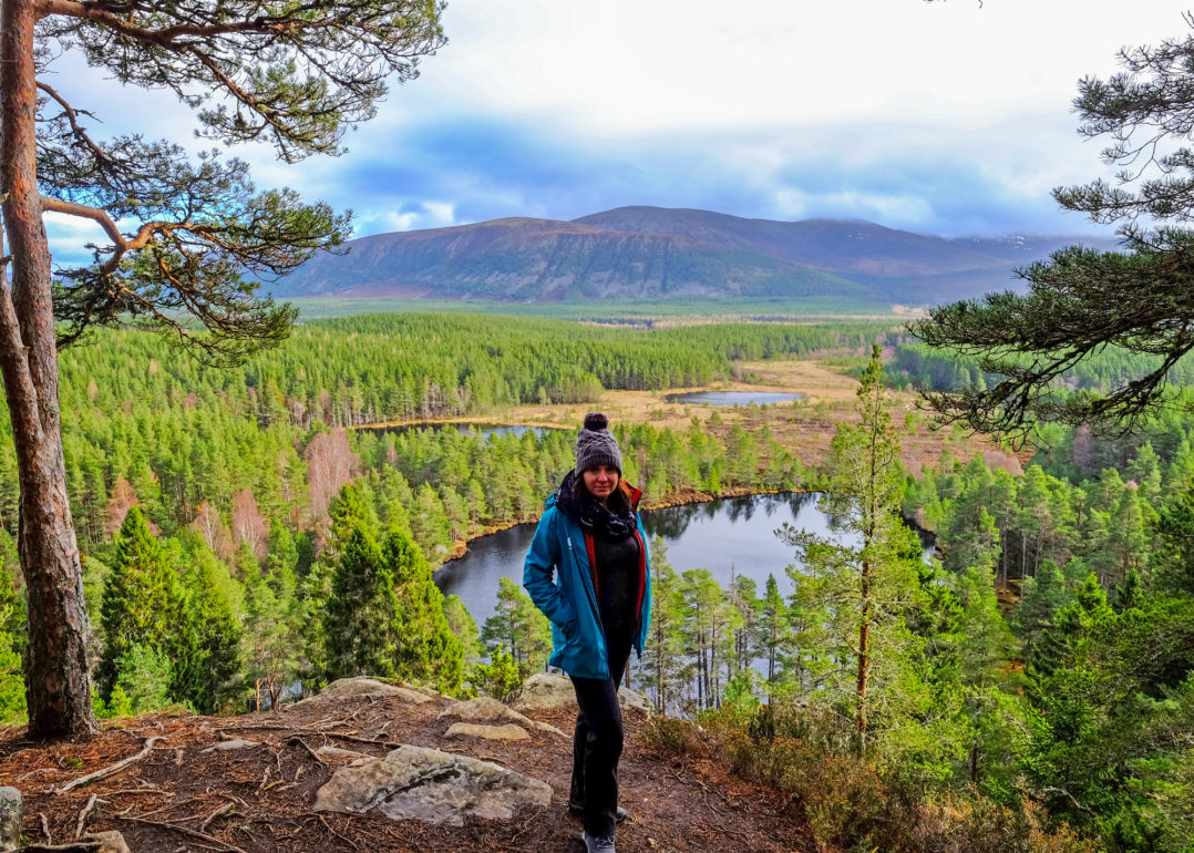 Forest walks in Scotland