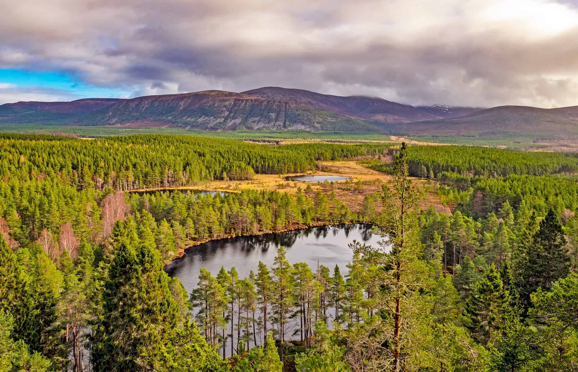 Things to do in the Cairngorms National Park