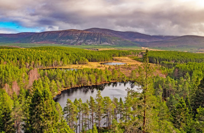 The best things to do in Aviemore & the Cairngorms