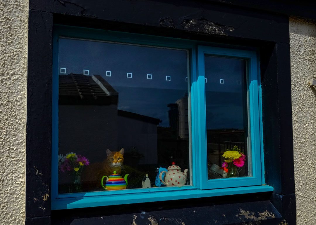 Things to do in Aberdeen