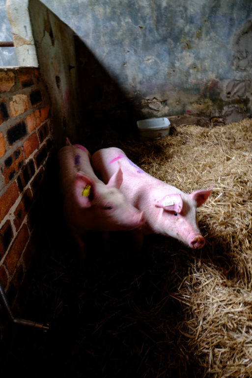 Farm stay scotland