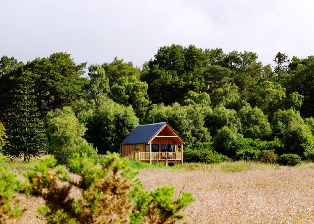 Log Cabins In Scotland From A Low Impact Eco Treehouse To A