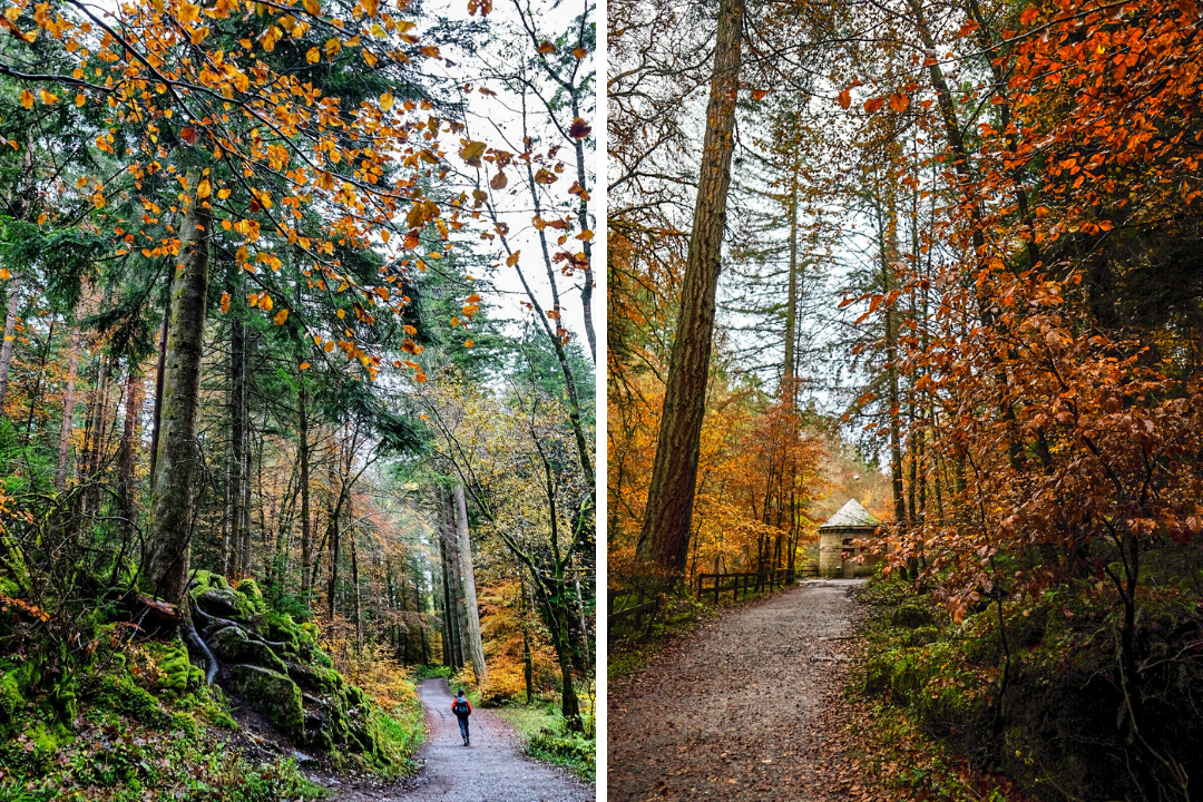 Autumn in Perthshire