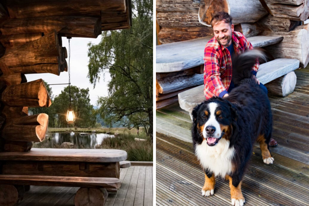 Dog friendly log cabins in Scotland 