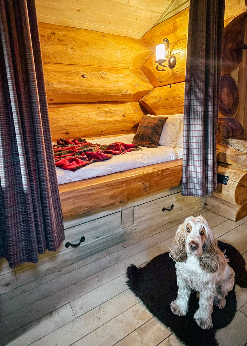 Dog friendly and family friendly stays in the Scottish Highlands