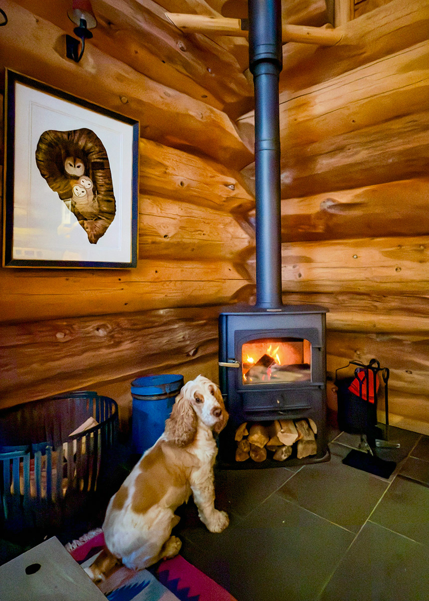 Warm floors, long walks, cosy nights: dog heaven in the Highlands.