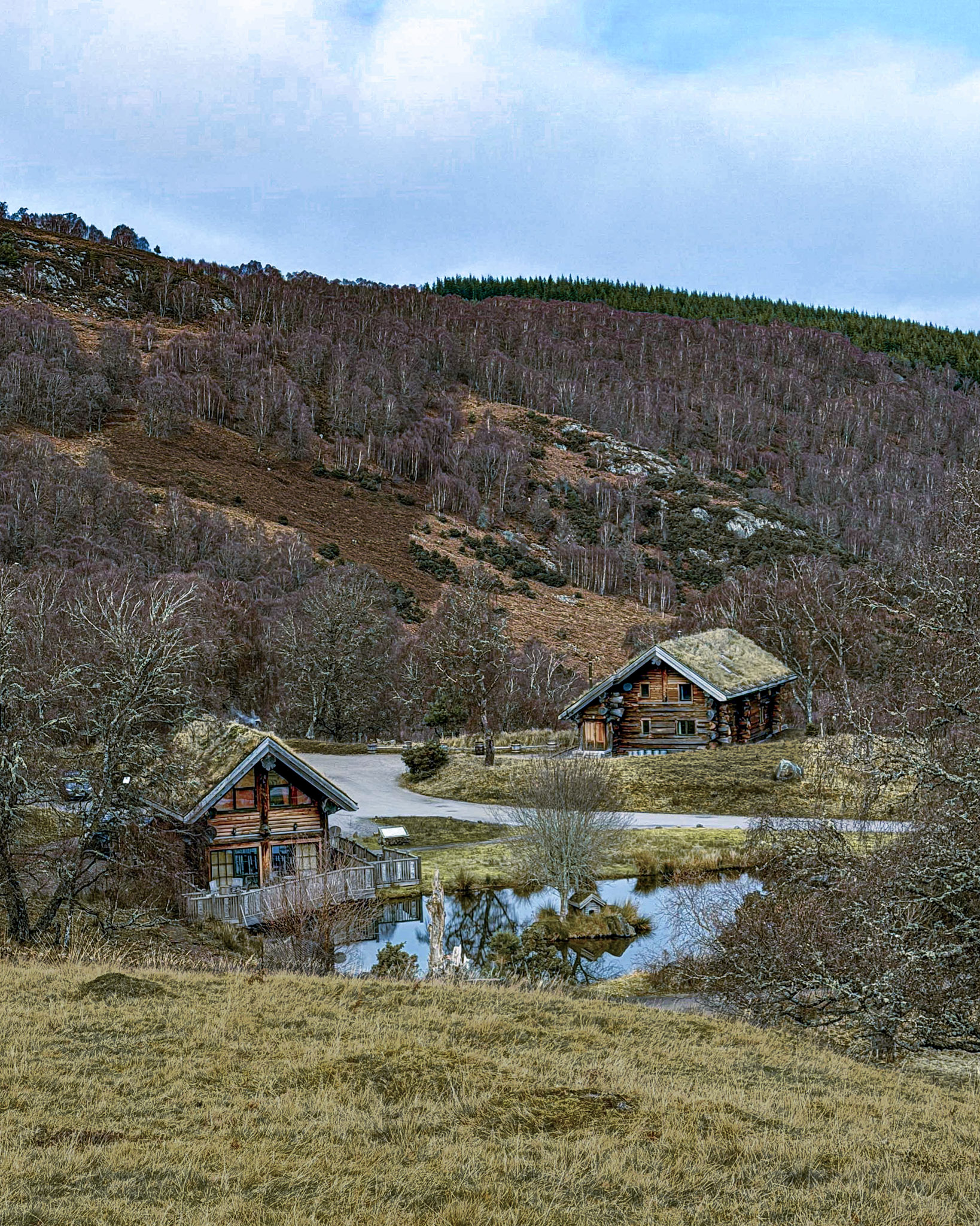 Eagle Brae&rsquo;s cedar cabins blending seamlessly into the Highland landscape.