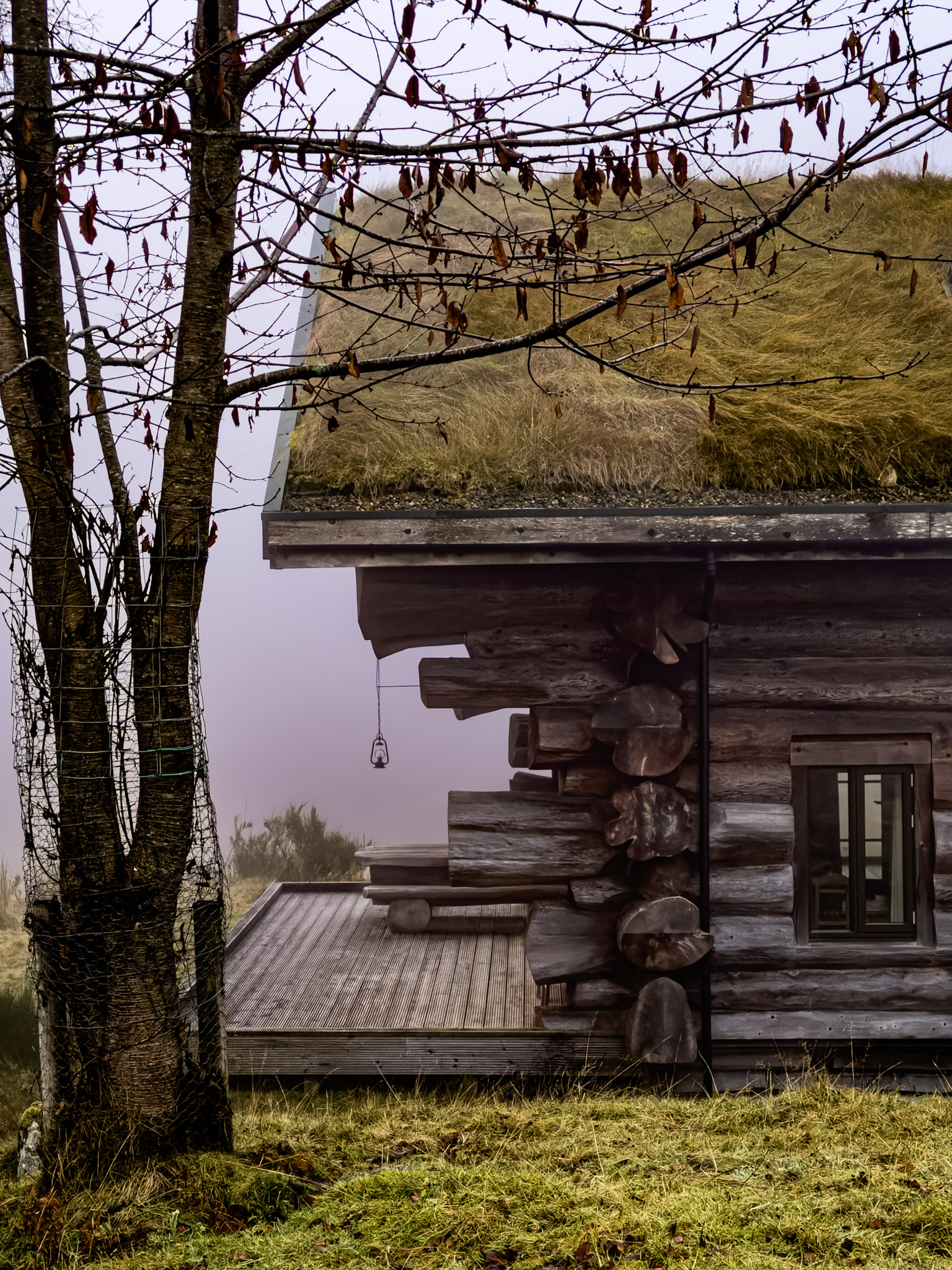 Grass-roofed cabins nestled in ancient Caledonian forest.