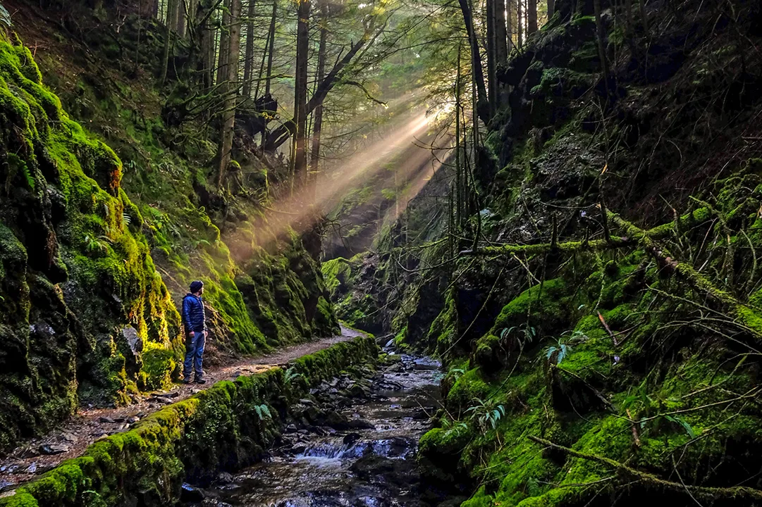 Puck's Glen Scotland