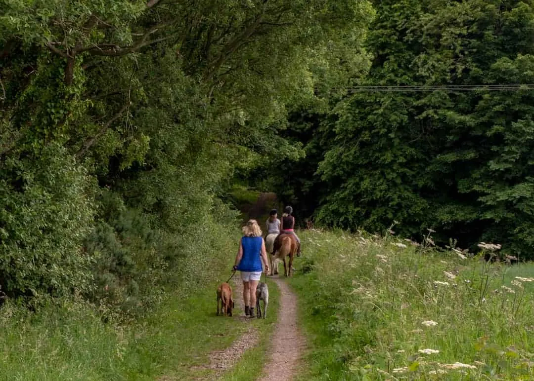 West Fife Woodlands Way