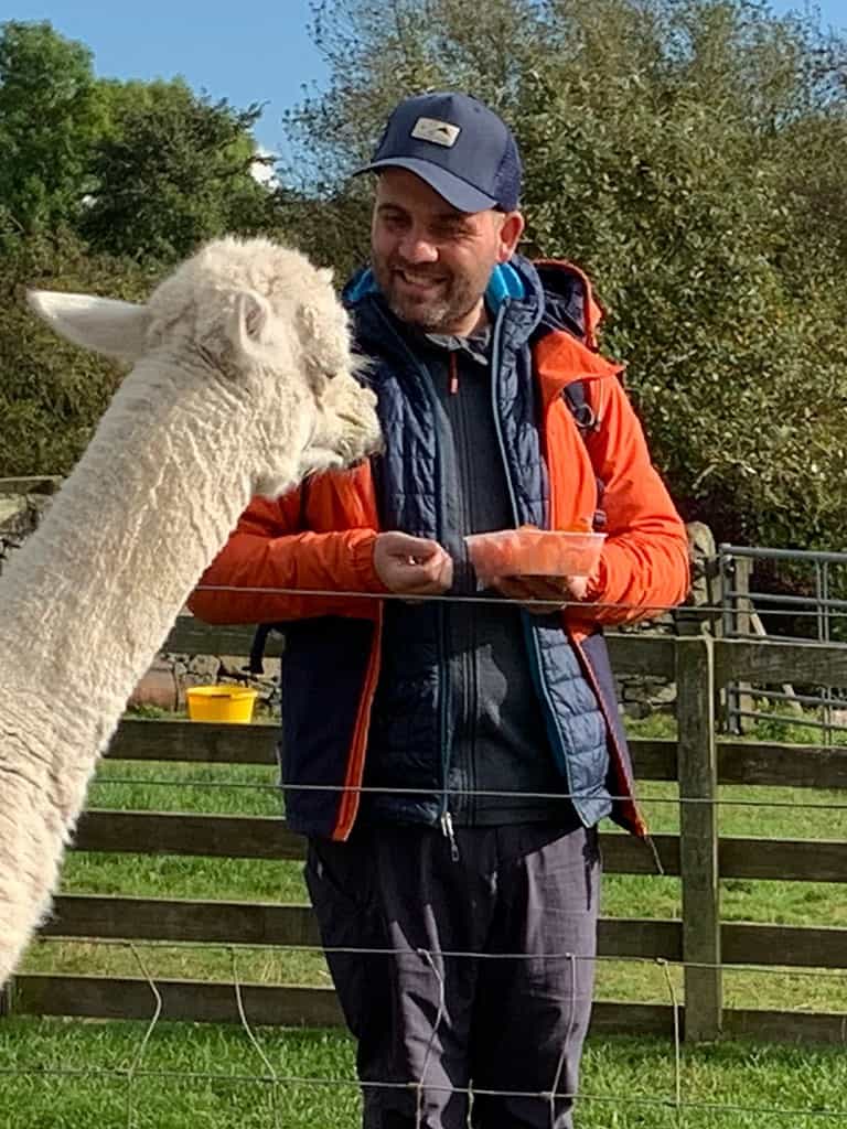 Alpaca walking Scotland - trekking with alpacas