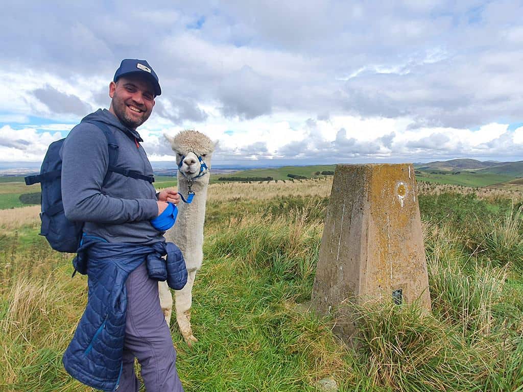 Trekking with alpacas Cheviot Hills