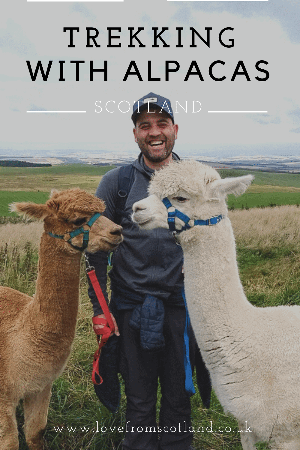 Fancy going trekking with an alpaca? Let\'s go alpaca walking at Beirhope Farm in the Scottish Borders. Meet your new best furry friends!
