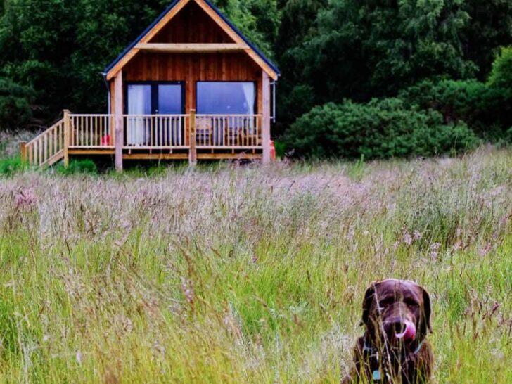 Walks in Fife how to find the best places to walk in Fife