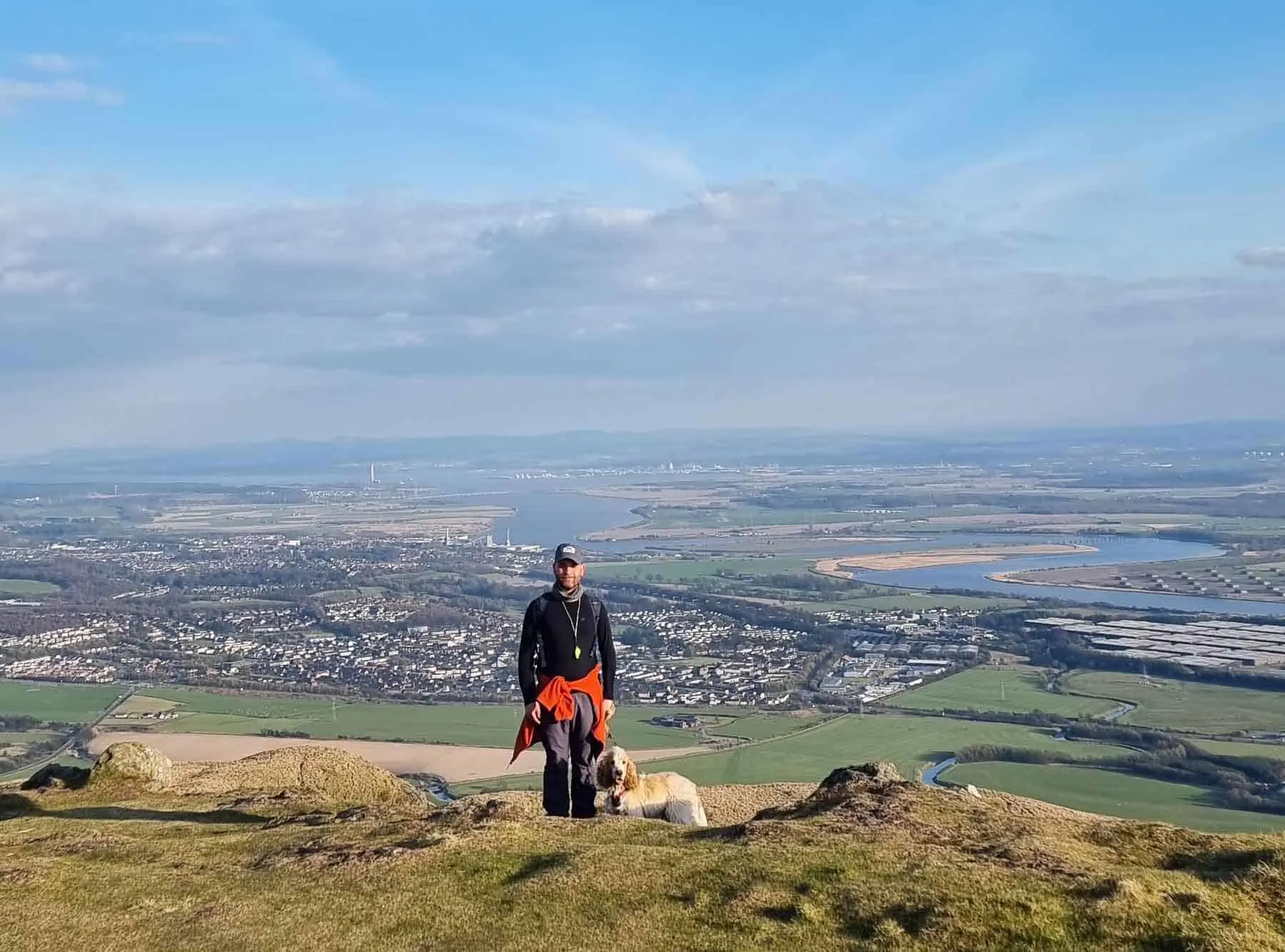 hills with dogs