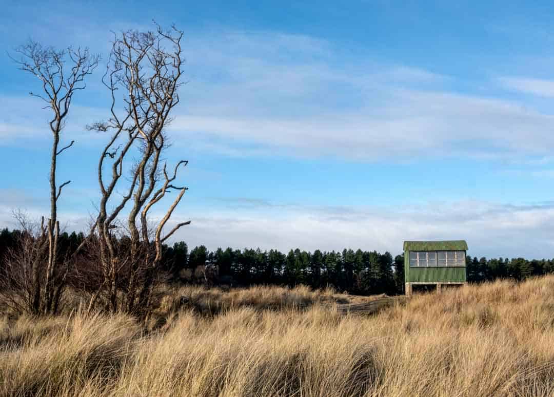 Tentsmuir Beach Pillboxes