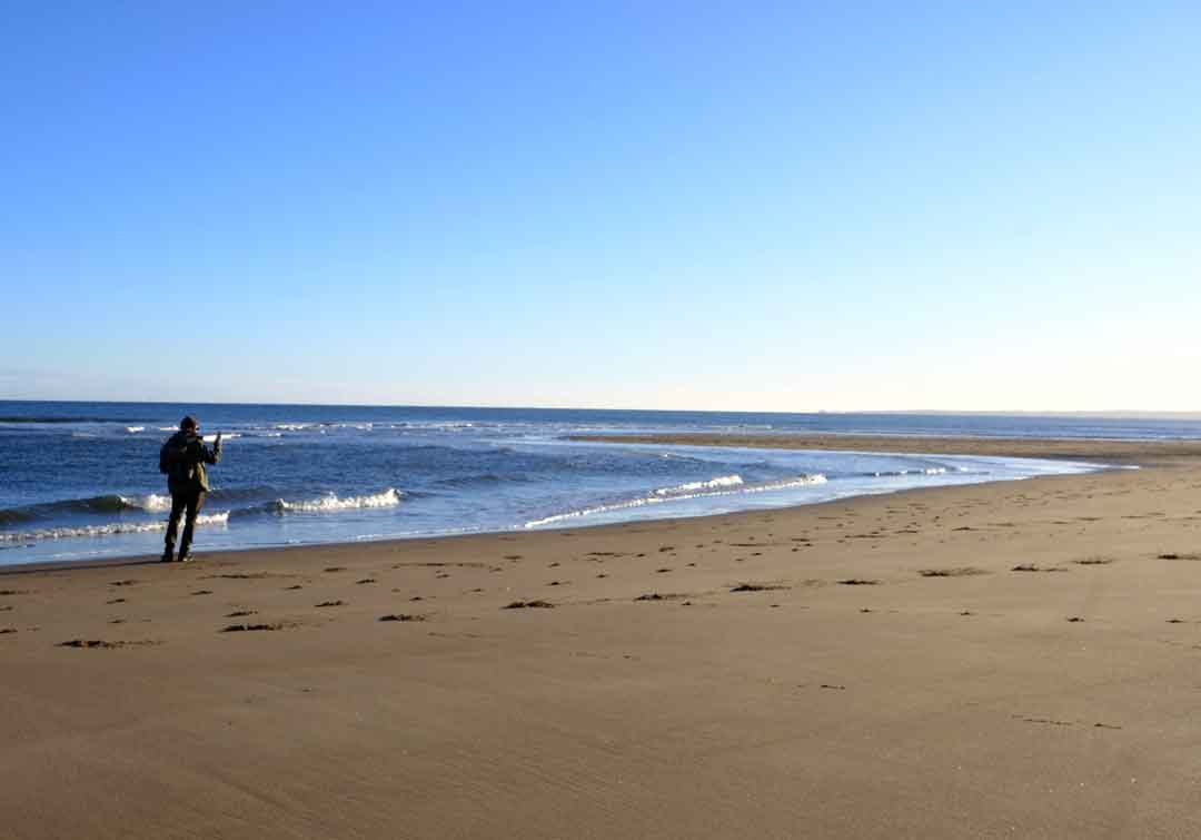 Tentsmuir Beach