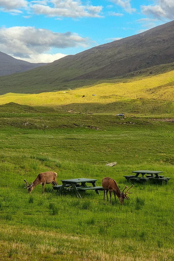 Glen Shiel Cluanie Inn