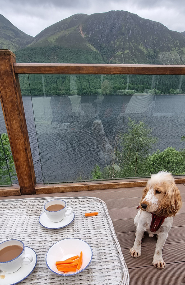 Dog friendly hotels scotland