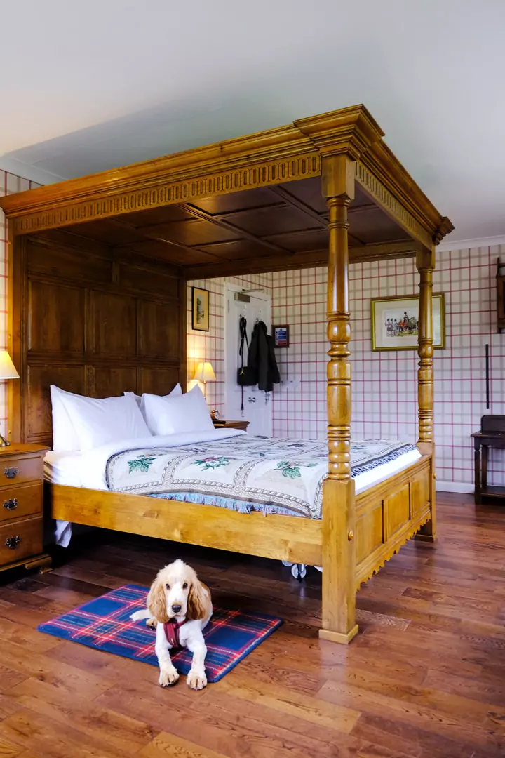 The Cluanie Inn - Highland hospitality in Glen Shiel - Love from Scotland