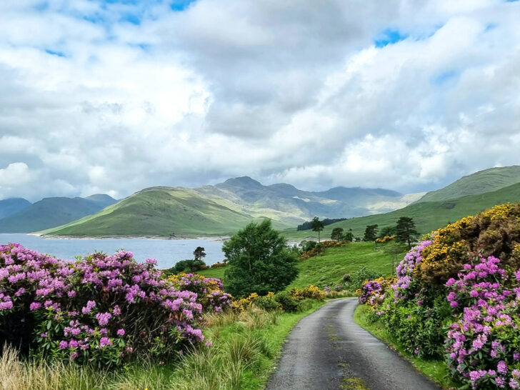 Drive to Kinloch Hourn