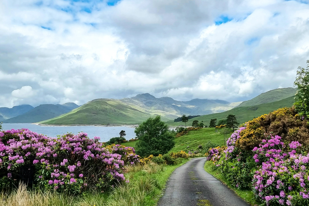 Drive to Kinloch Hourn