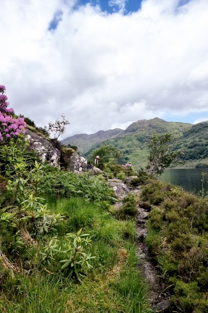 Kinloch Hourn walk