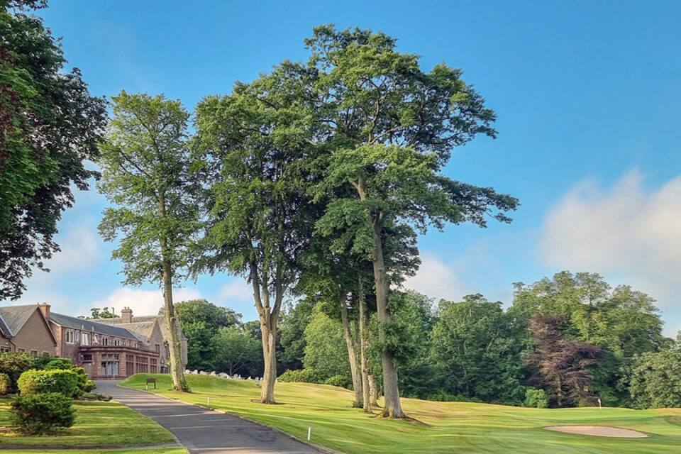 10+ things to do in Perth – Love from Scotland