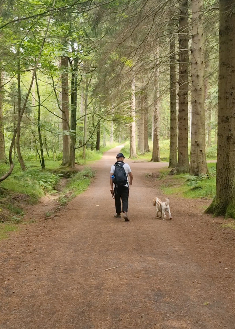 kinnoull Hill Woodland park dogs