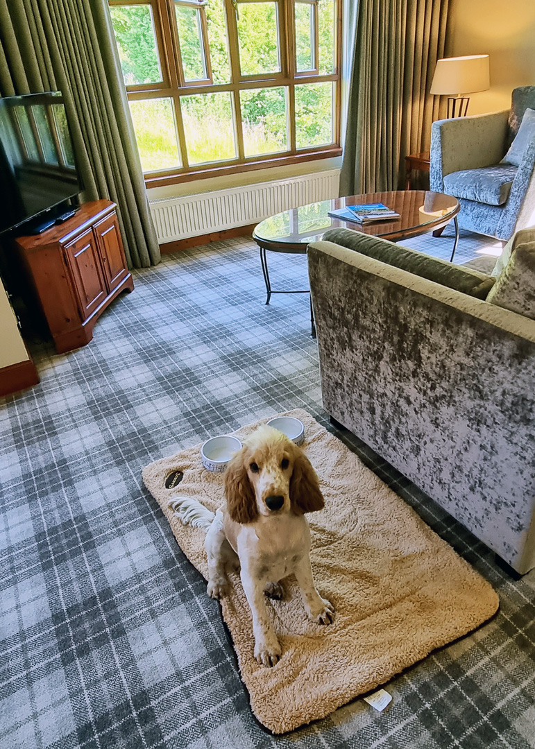Dog friendly hotel Perth Scotland