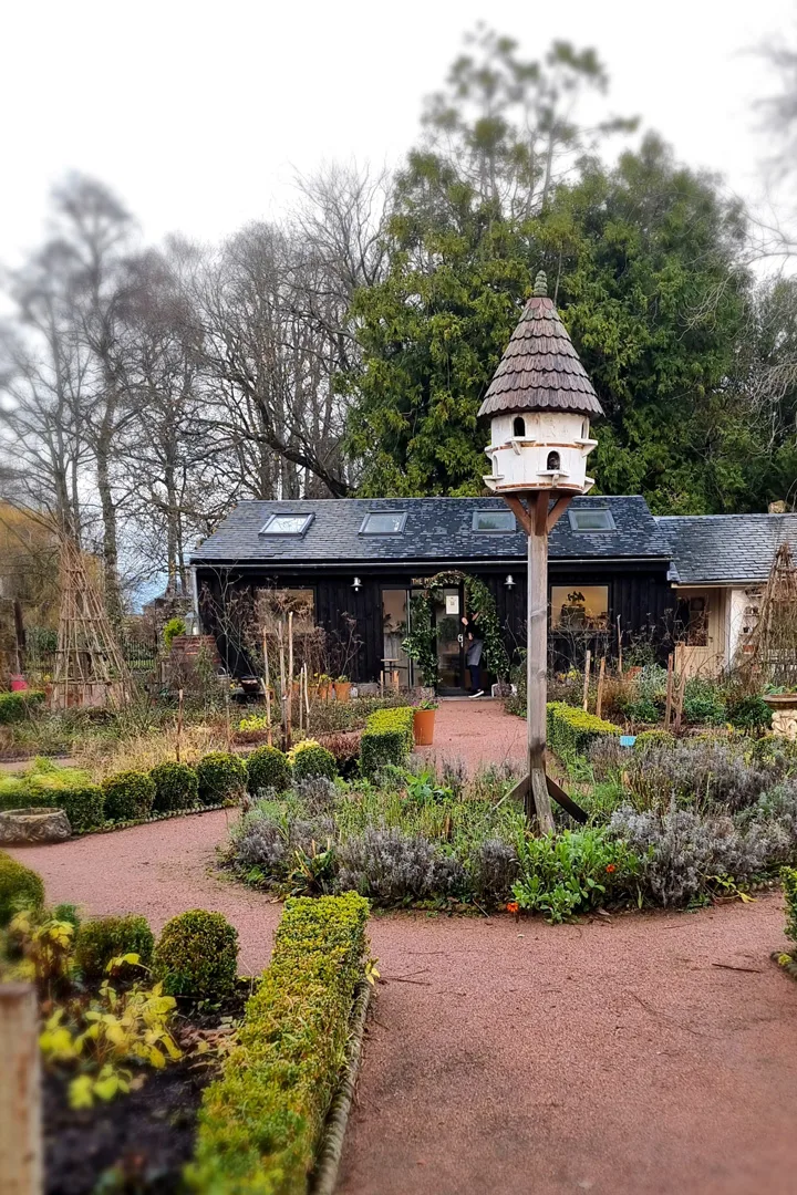 Kale Yard