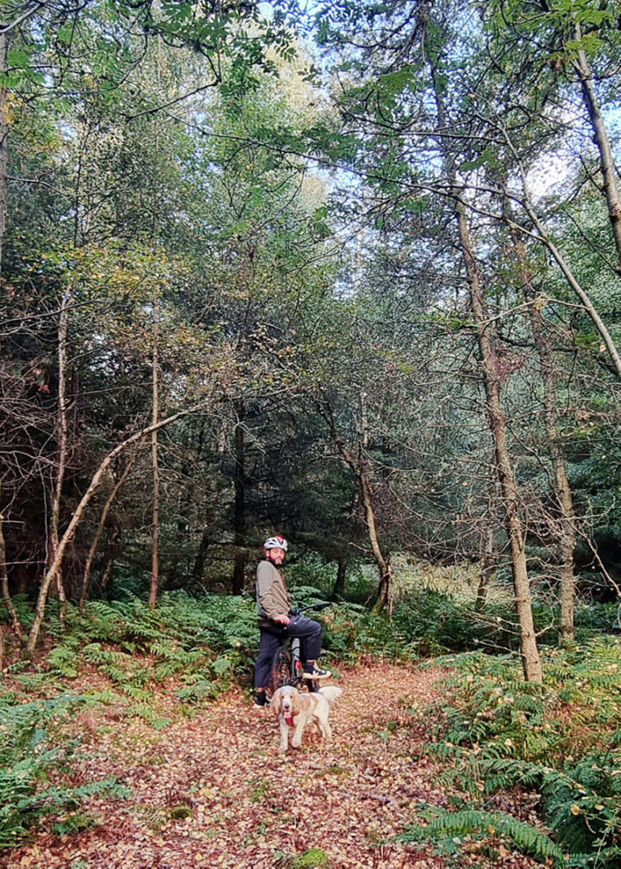 Brucefield Estate, Clackmannanshire Love from Scotland