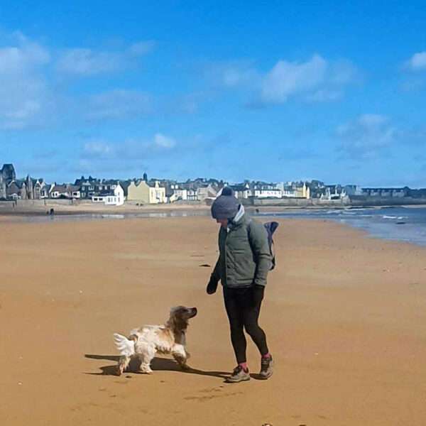 Dog friendly Fife