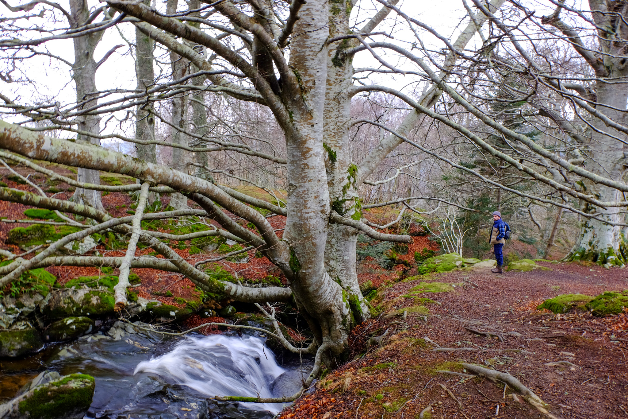 Waterfalls in Scotland