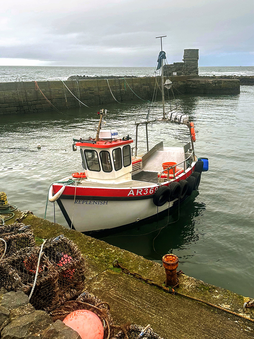 Harbour Ayrshire