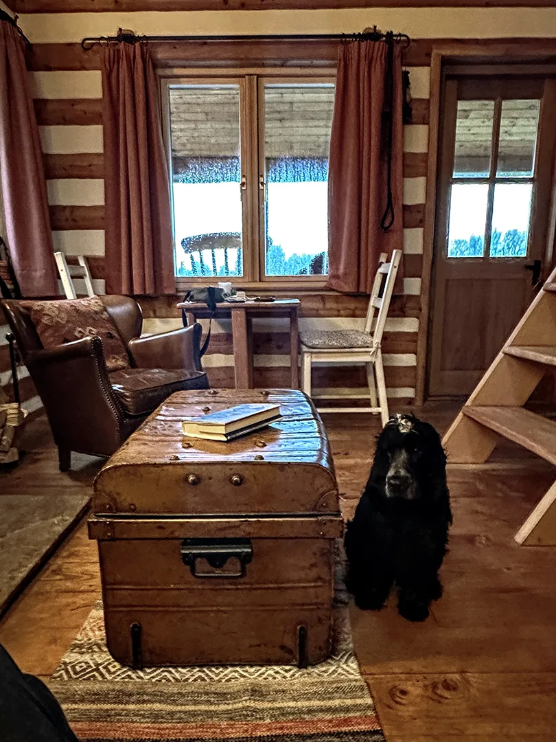 Dog friendly cabin scotland