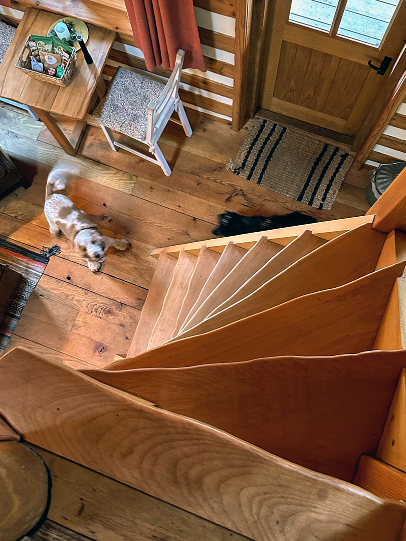 Staircase at Mount Freedom Cabins, Ayrshire