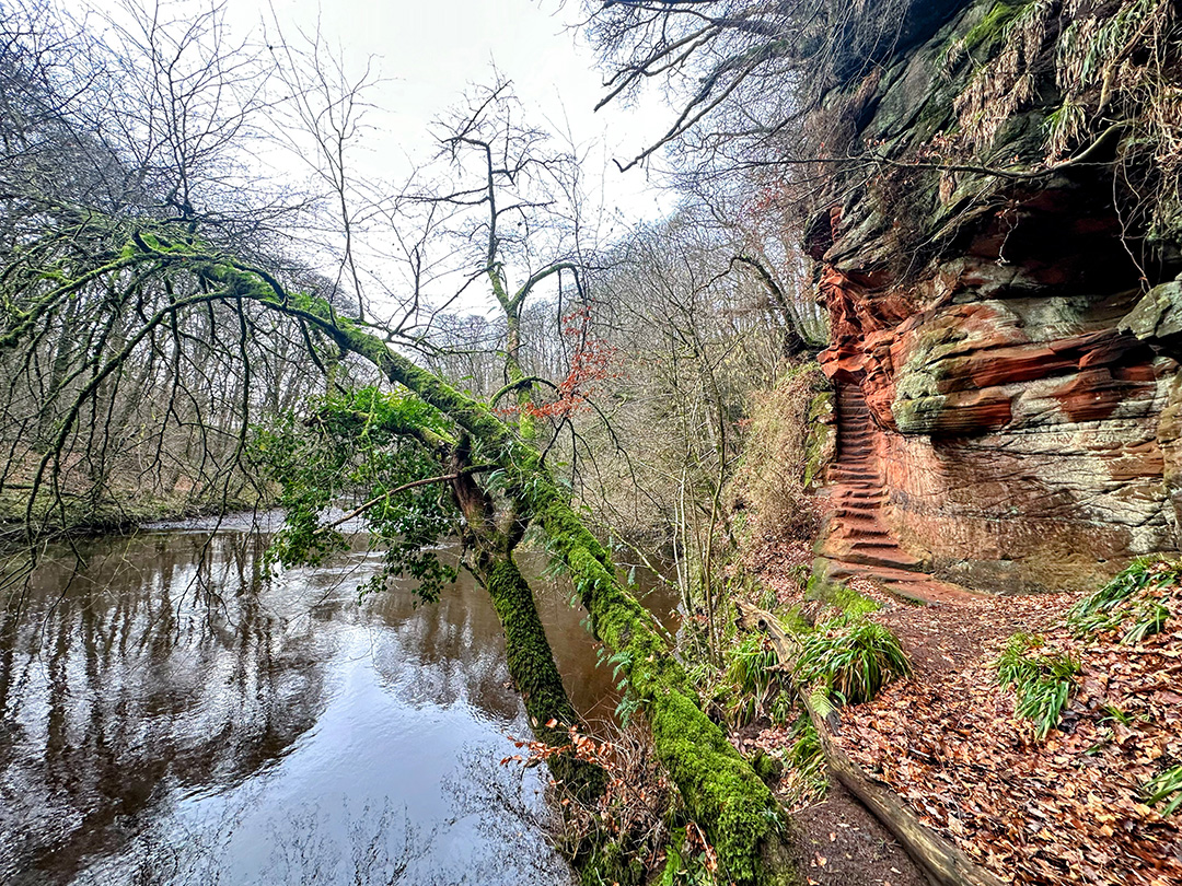 Pedens Cove and River Ayr