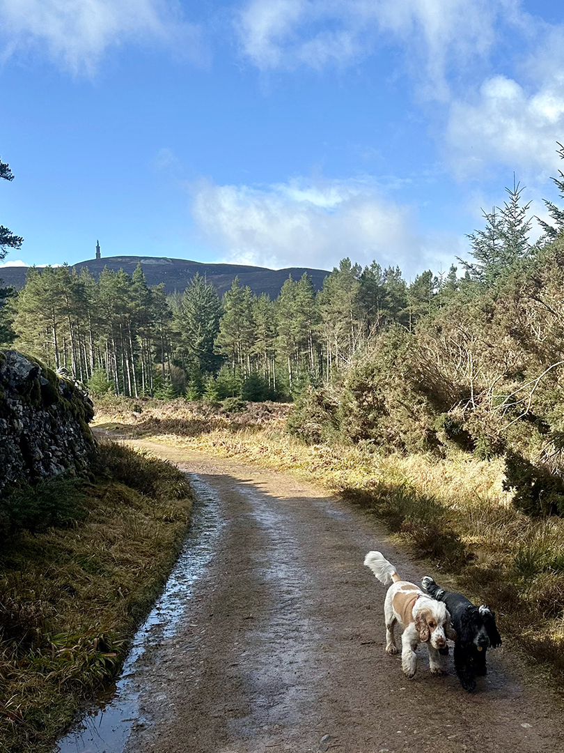 Ben Bhraggie Golspie