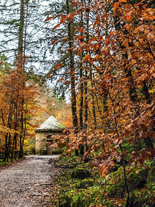 How to visit Dunkeld, Perthshire