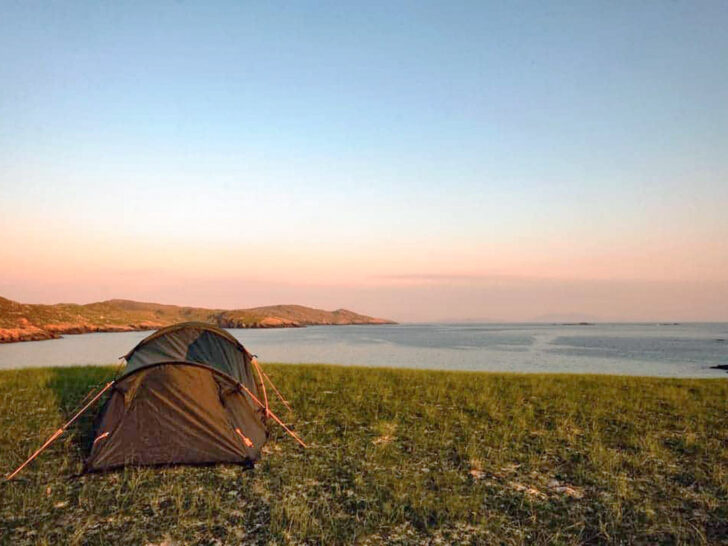 Scottish Midges: Summer 2026 Survival Guide (where & how to avoid)