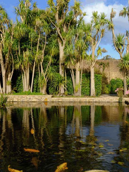 My favourite botanical gardens in Scotland