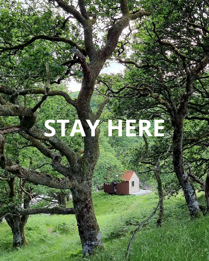 Accommodation Guides