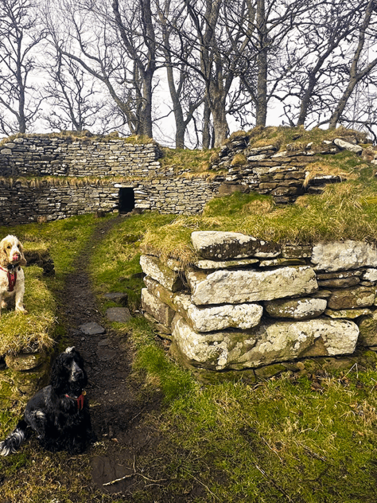 Brochs in Scotland – go back in time to visit the Iron Age