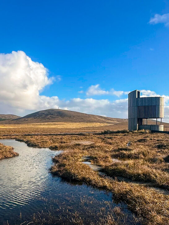 Why you should visit a 10,000 year old peat bog in Scotland