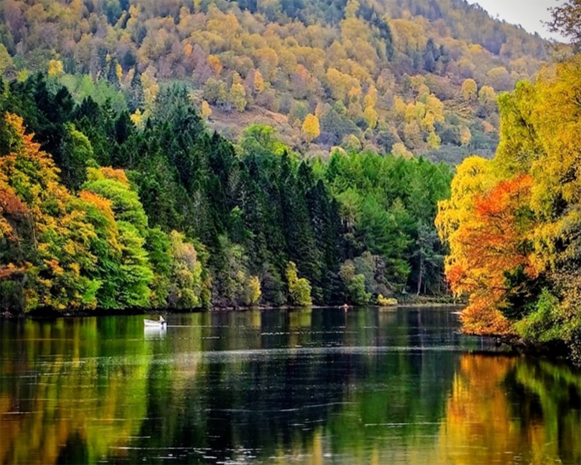 Golden autumn trees reflecting in Loch Dunmore at Faskally Wood near Pitlochry, Scotland