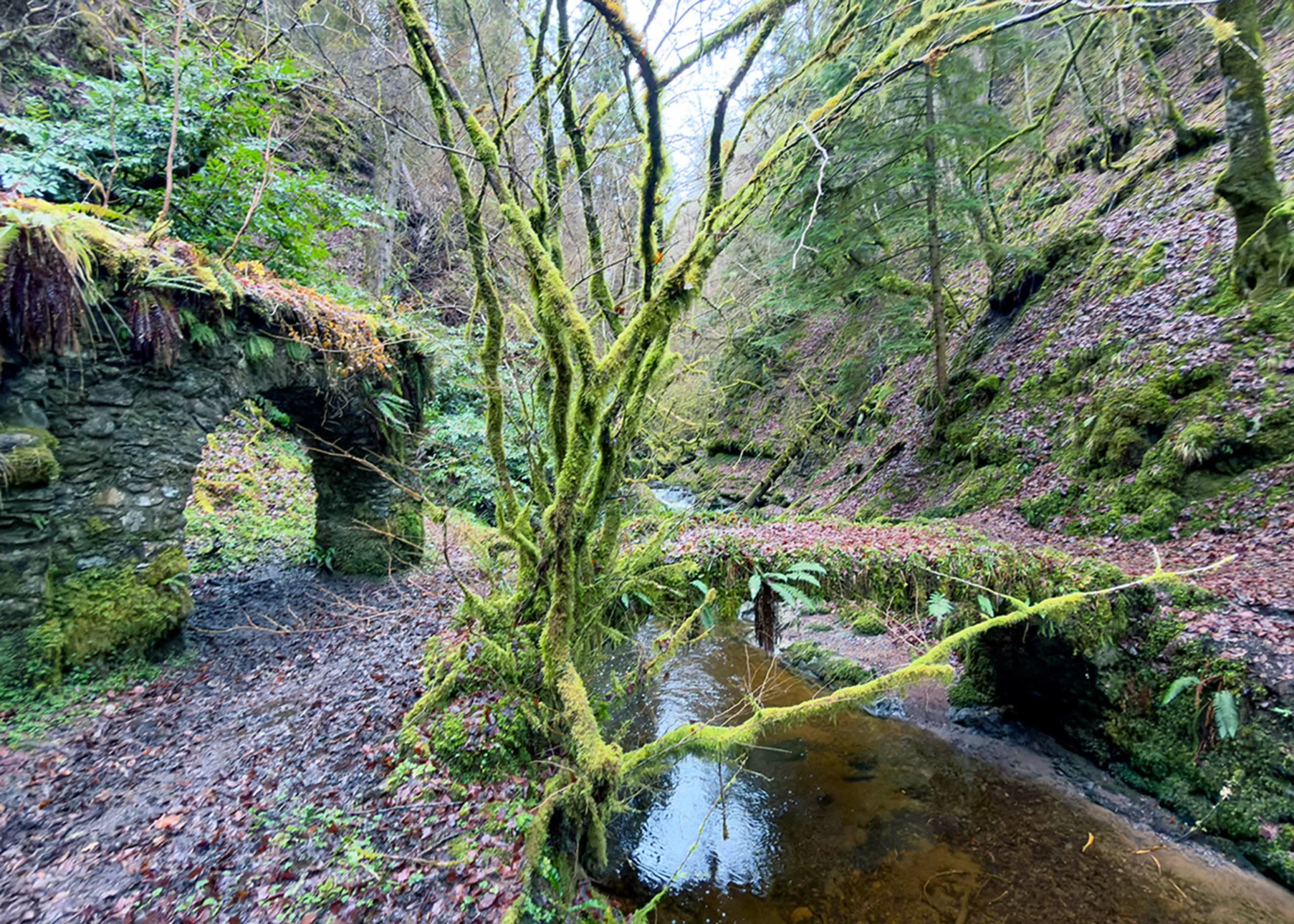 Scotland’s best dens, glens & gorge walks