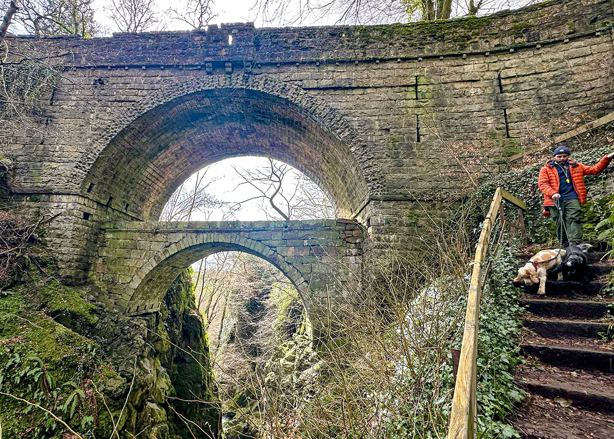 Devil&rsquo;s Mill: River Devon flowing through Devil&rsquo;s Mill gorge at Rumbling Bridge