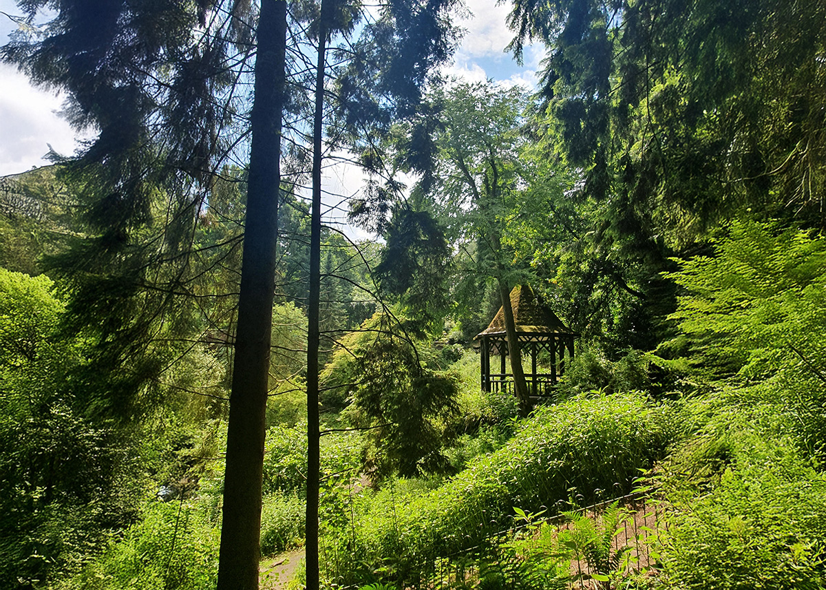 Pittencrieff Park: Shaded wooded gorge in Pittencrieff Park, Dunfermline