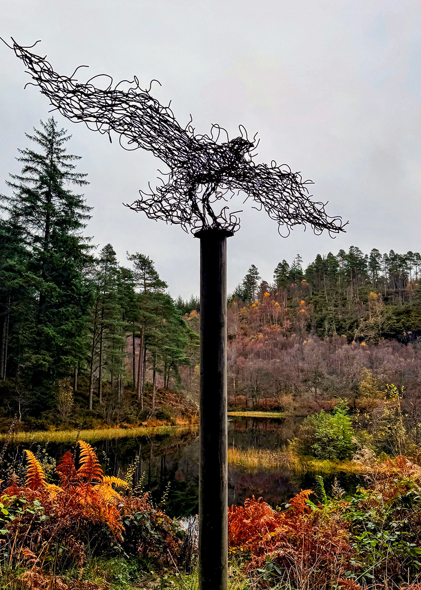 Sculptures on the Loch Ard Loop
